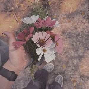 Meet your Posher, Lindsay